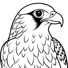 eagle line art vector illustration.