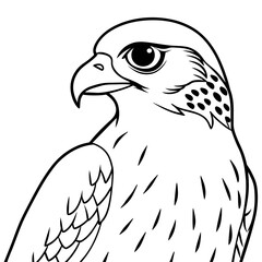 eagle line art vector illustration.