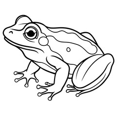 frog line art vector illustration.