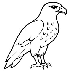 parrot line art vector illustration.