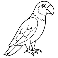 Obraz premium parrot line art vector illustration.
