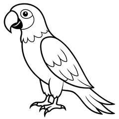 parrot line art vector illustration.