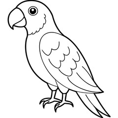 parrot line art vector illustration.
