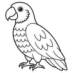Fototapeta premium parrot line art vector illustration.