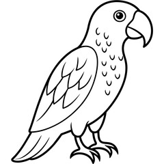 parrot line art vector illustration.