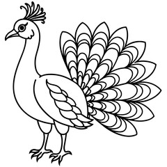 Peacock line art vector illustration.