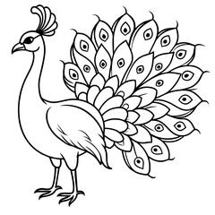 Peacock line art vector illustration.