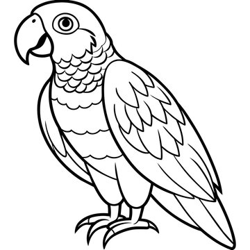 recommend clip art: parrot line art vector illustration.