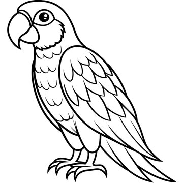 recommend clip art: parrot line art vector illustration.