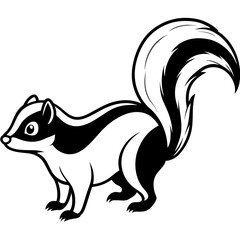 Skunk line art vector illustration.