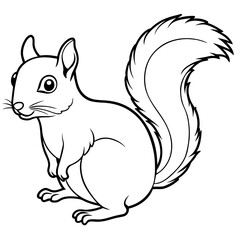 Squirrel line art vector illustration.