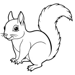 Squirrel line art vector illustration.