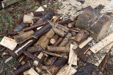 Lumberjack chopped the tree trunks.
