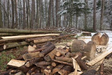 Lumberjack chopped the tree trunks.