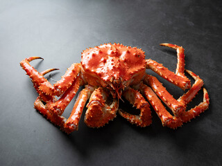 King crab on a dark background	