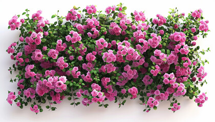 Obraz premium Dense Bush of Blooming Pink Roses