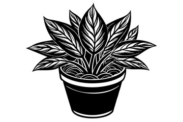 potted plant silhouette vector illustration