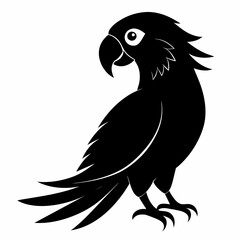 Silhouette Parrot Animal black color only  vector illustration 