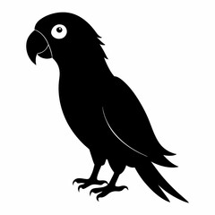 Black Parrot Silhouette Vector Clean Design
