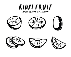 Kiwi fruit hand drawn concept on white background