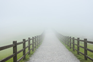 Fototapeta premium Qingtiangang in Yangmingshan National Park at Taipei Taiwan