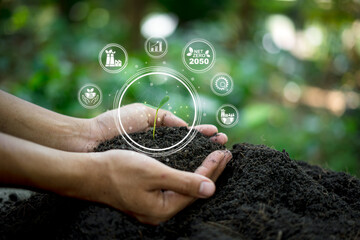 Hands care a growing seedling Net zero and carbon neutral concept Net-zero greenhouse gas emissions...