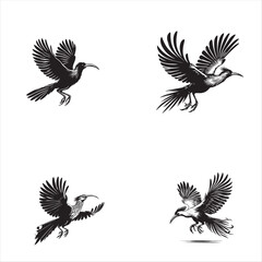 Hoatzin bird flying black silhouette vector on a white background
