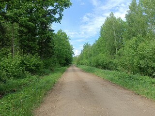 Road in forest in Siauliai county during sunny summer day. Oak and birch tree woodland. Sunny day with white clouds in blue sky. Bushes are growing in woods. Sandy road. Nature. Summer season. Miskas.