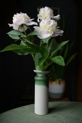 peonies bouquet of flowers in the interior