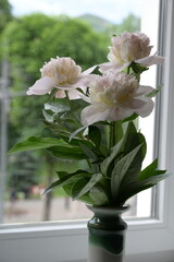 peonies bouquet of flowers in the interior