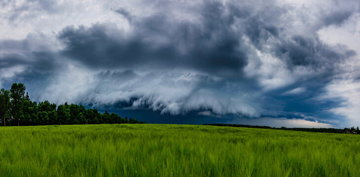 Storm clouds, shelf cloud over field, extreme weather, dangerous storm