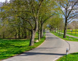 Landstraße auf Rügen, Mecklenburg-Vorpommern, Deutschland