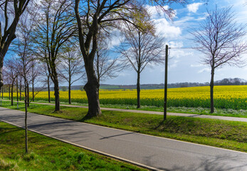 Landstraße auf Rügen, Mecklenburg-Vorpommern, Deutschland