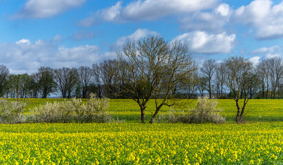 Landschaft auf Rügen, Mecklenburg-Vorpommern, Deutschland