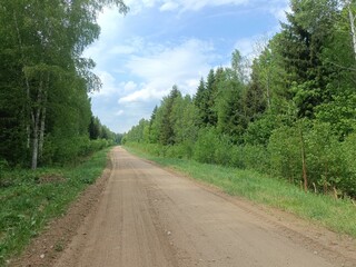 Road in forest in Siauliai county during sunny summer day. Oak and birch tree woodland. Sunny day with white clouds in blue sky. Bushes are growing in woods. Sandy road. Nature. Summer season. Miskas.