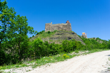 An earthen road through the bushes leads to the Dzama fortress on the hill