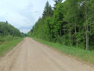 Road in forest in Siauliai county during sunny summer day. Oak and birch tree woodland. Sunny day with white clouds in blue sky. Bushes are growing in woods. Sandy road. Nature. Summer season. Miskas.