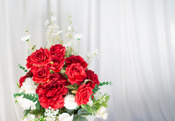 Red roses on a white curtain background