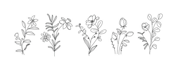 Fototapeta premium minimal line flower and botanical graphic sketch drawing, trendy tiny tattoo design, floral elements vector illustration