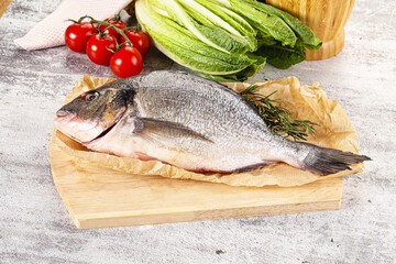 Raw dorada fish served rosemary