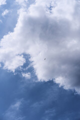 the sky is blue with white clouds. sky background. background image