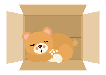 Cute teddy bear sleeping in cardboard box