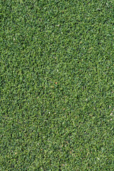 Artificial grass surface © nahhan