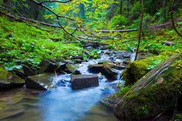 Obraz premium small river flow through mountain canyon