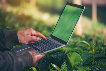 Smart farmer using laptop in eco green farm sustainable quality control. Close up Hand typing...