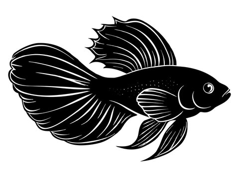 recommend clip art: Betta fish silhouette vector illustration 