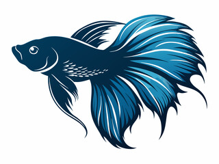 Betta fish vector illustration  isolated on white  background 
