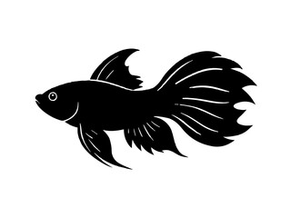 Fototapeta premium Betta fish silhouette vector illustration 