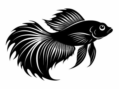 recommend clip art: Betta fish silhouette vector illustration 