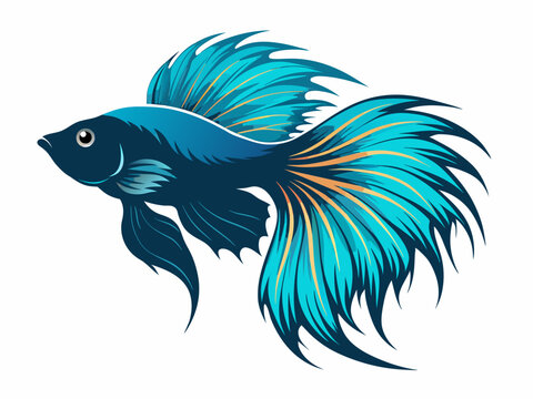 recommend clip art: Betta fish vector illustration  isolated on white  background 